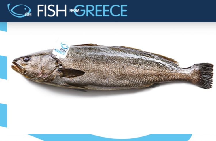 Immagine dal sito web Fish from Greece
