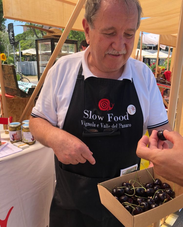 Un presidio Slow Food: la ciliegia di Vignola
