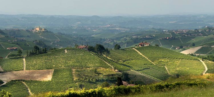 La bellezza del paesaggio
