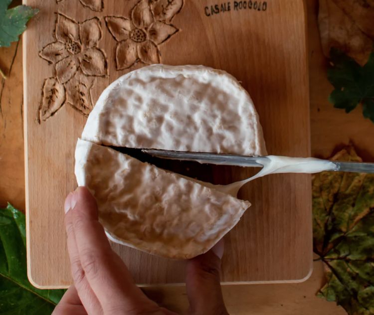 Gioia, come un camembert