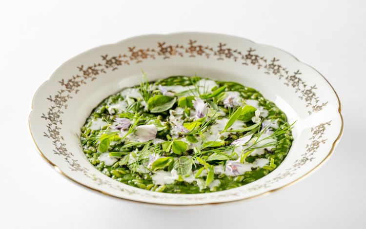 Risotto, ortica, kefir ed erbette di campo è il P