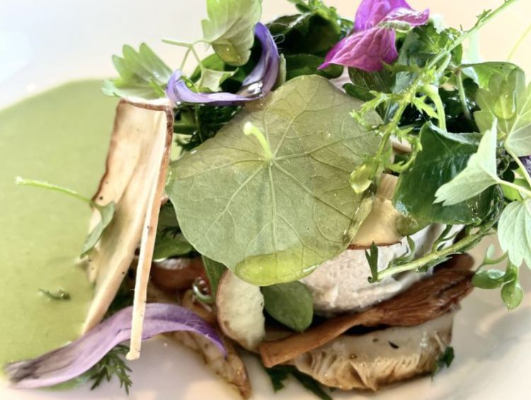 Erbe spontanee, fiori e funghi, che mutano nel corso della stagione e quindi mutano le sfumature del piatto, In questo momento - come erbe - piantaggine, radicchio selvatico, spaccapietra, caccialepre, trifoglio come erbe; funghi - lactarius sott'olio e giandluin, porcino crudo e, nascosto al centro, gelato di prescinsêua, aromatizzata con mazza di tamburo; fiori - petali di ranuncolo, tarassaco e bougainville, e a condire, kefir di capra aromatizzato alle erbe aromatiche. C'è freschezza, tagli amari, ma anche un'imponente sapidità che ricorda l'intensità salina della bottarga e il suo stesso amaro deciso. Alla tavola de Il Marin, a Genova