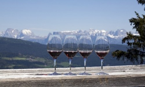 Four chalices of Schiava, a grape variety that giv