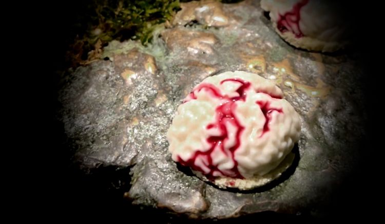 Rat has brains: certainly the most striking dish (