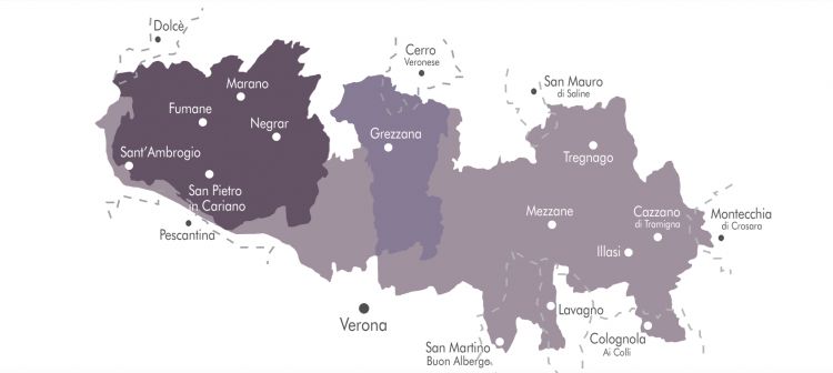 Il territorio vitivinicolo della Valpolicella