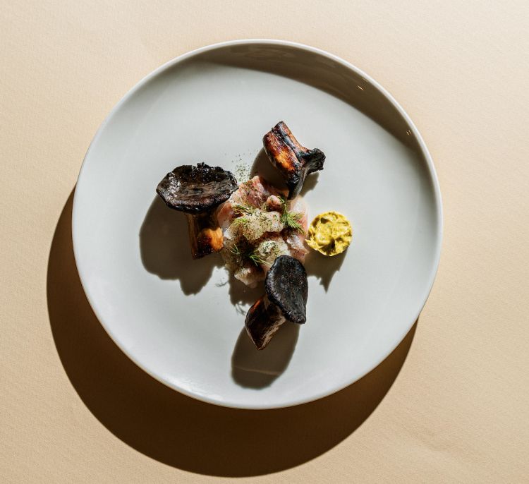 Cardoncello alla brace, sashimi di branzino, coriandolo
