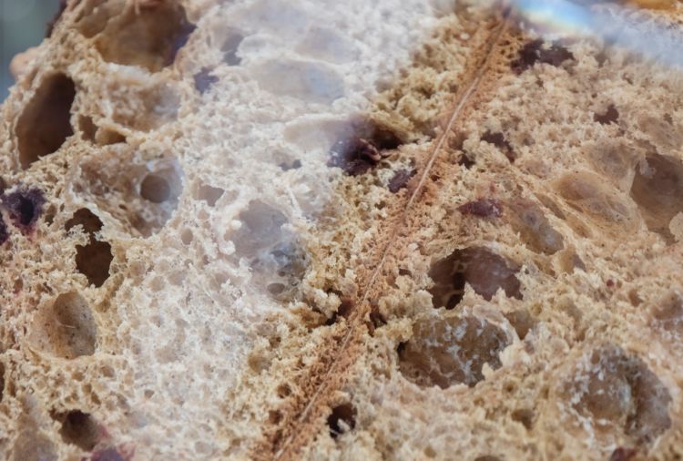 La Colomba Flat White di Cremeria Capolinea
