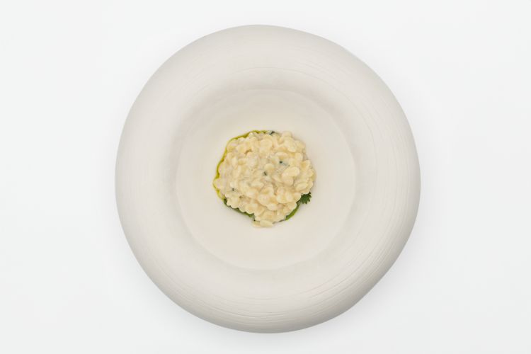 "Semi di Mela con baccalà "in pastella", il suo latte aromatizzato