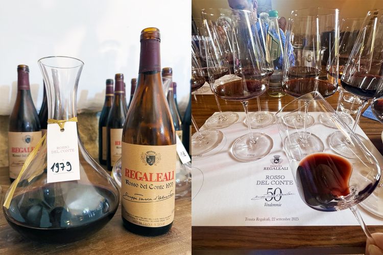 Un viaggio nel tempo: la degustazione di Rosso del