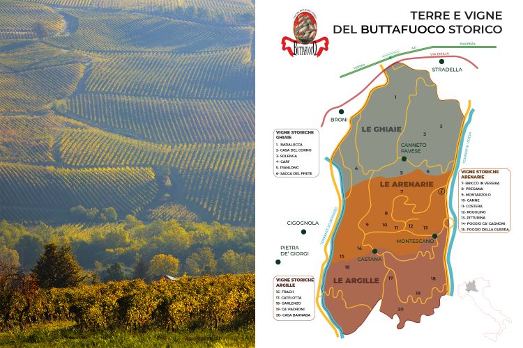 La mappa del territorio, con la differenziazione dei terreni

