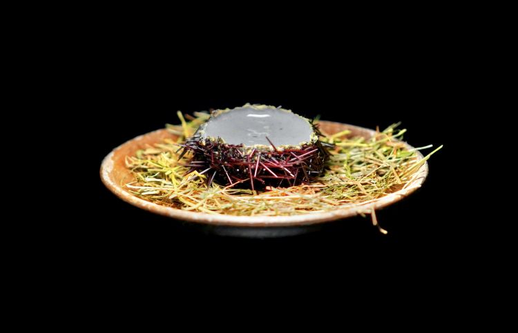 Seppia, riccio di mare, secondo passaggio: riccio ripieno di spuma al nero di seppia. A parte, insalatina di finocchi e arance
