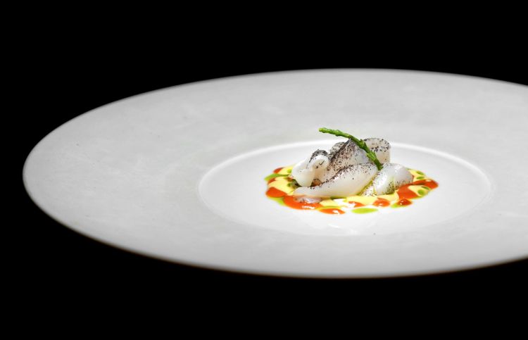 Seppia, riccio di mare: seppia mediterranea servita cruda, salicornia, limone salato, salsa di capperi, salsa ai ricci di mare
