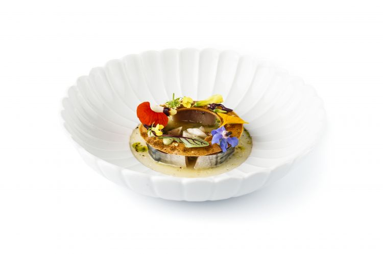 Sgombro, croccante marino, dashi di bottarga di to