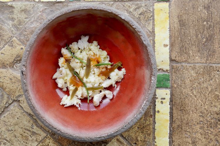 Squisita questa Murena al vapore, limbarda, finocchietto di mare, gel di brodo di murena
