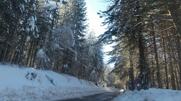 Una Sila davvero wild ha accolto i quattro chef ospiti di Biafora
