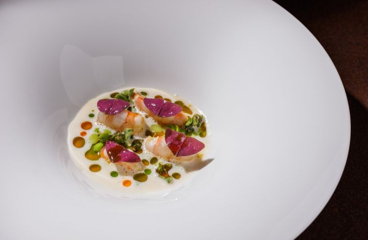 Uno dei piatti del menu di Sintesi, ad Ariccia
