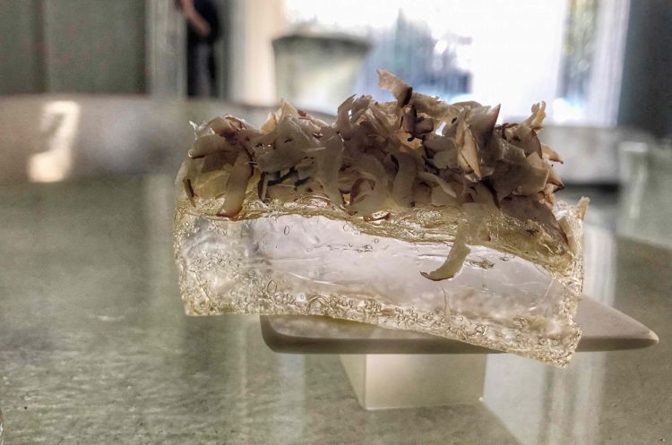 Pan de cristal con nocciole e funghi
