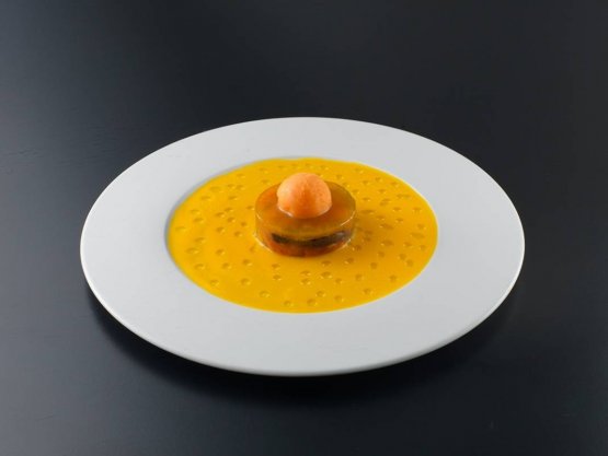 The beautiful dish called Solaris –portrayed by 
