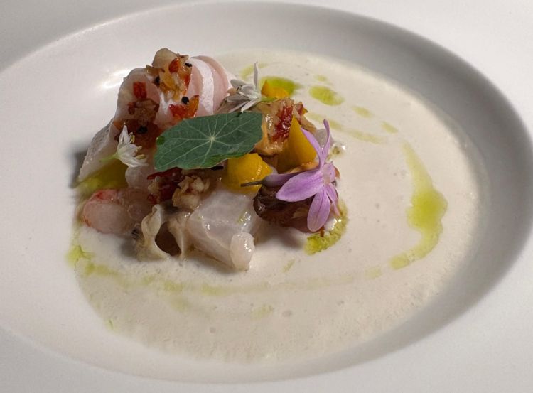 Ceviche Son
