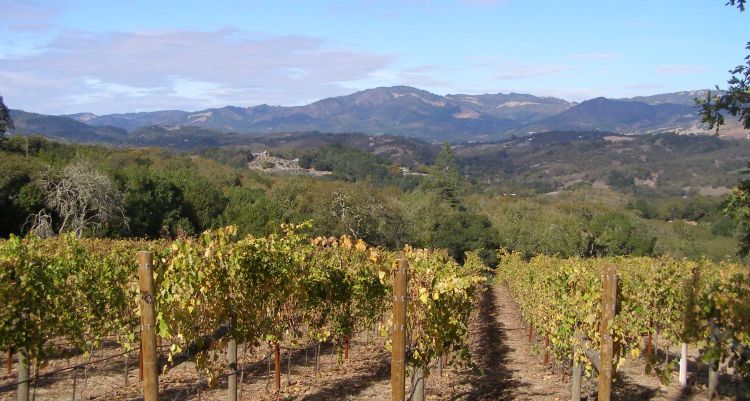 Sonoma
