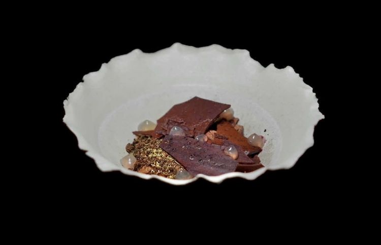 Sottobosco: spuma di porcini, gel di corteccia, croccante di cioccolato 64%