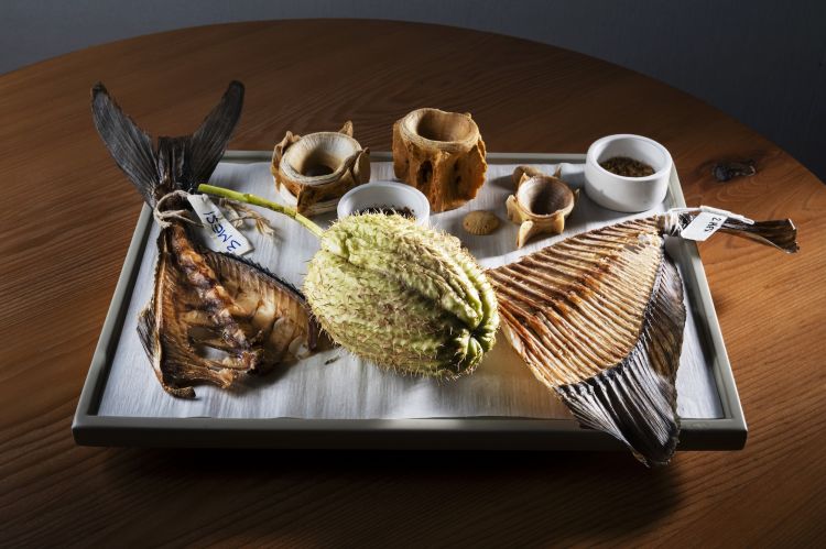 Le spine di pesce, oggetto della ricerca del nuovo