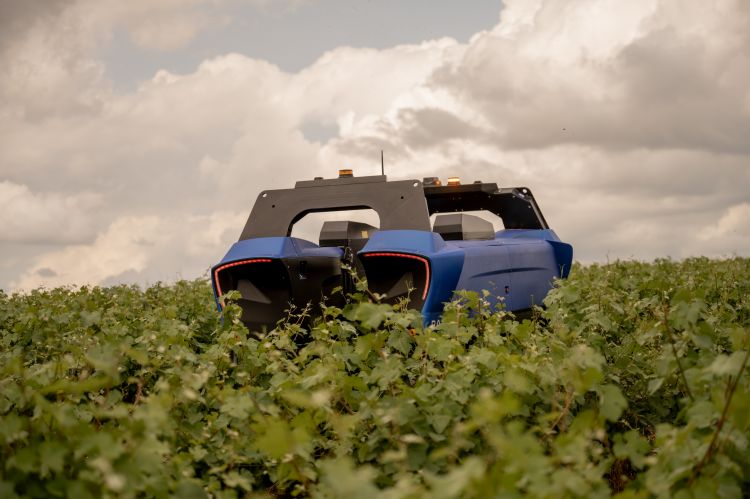 Piper-Heidsieck è stata fondata nel 1785 e oggi rappresenta una delle maison di Champagne più vocate all’innovazione osando e ricercando la perfezione in maniera quasi ossesiva, con l’accezione migliore del termine - Foto: studiodieppedalle 
