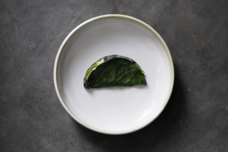 Taco di avocado con hoja santa