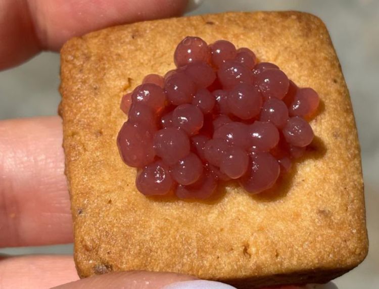 Creazioni dall'ultima generazione della famiglia Canobbio: una Tartelletta con nocciola, burro e perle di Barbaresco