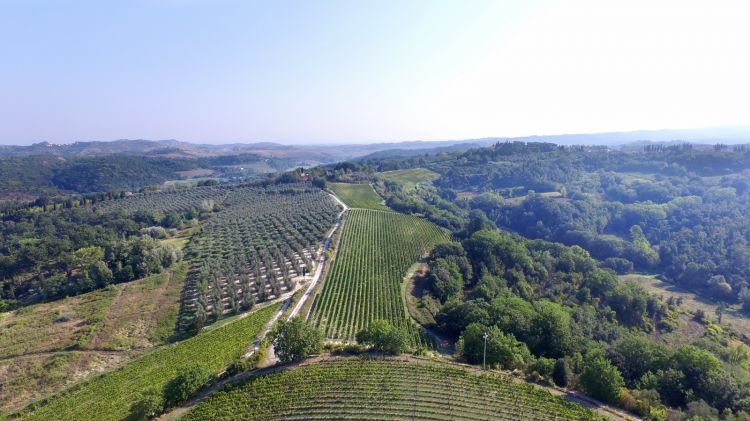 Natura incontaminata e luce intesa: i vini di Tenu