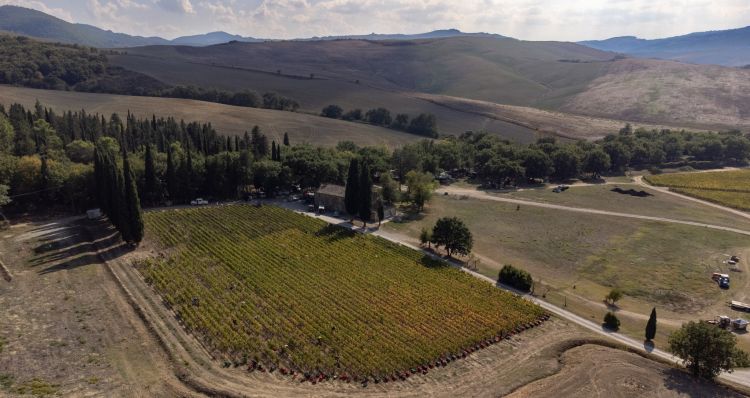 Un'immagine dall'alto di Tenuta di Trinoro