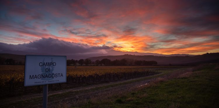 Il campo di Magnacosta al tramonto
