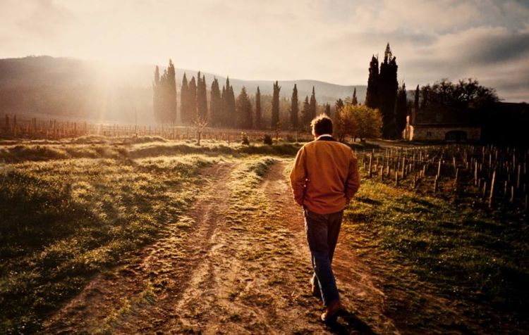 Andrea Franchetti mentre cammina in mezzo alle vigne: il suo ricordo &egrave; ancora vivo
