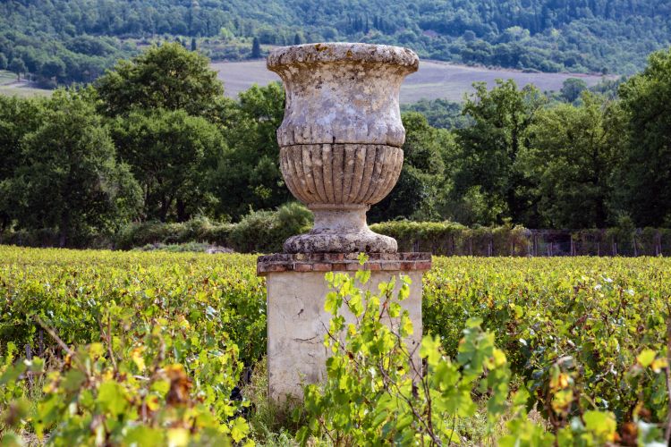 Il simbolo di Tenuta di Trinoro