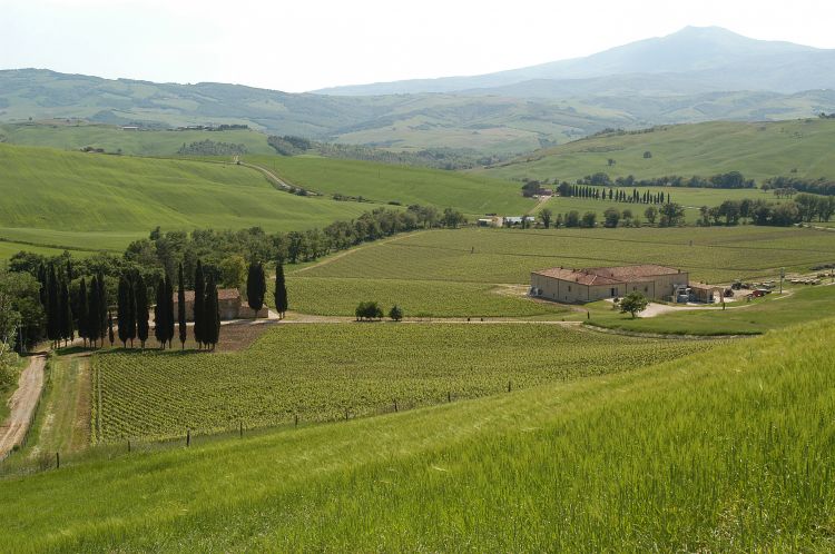Il paesaggio attorno alla Tenuta