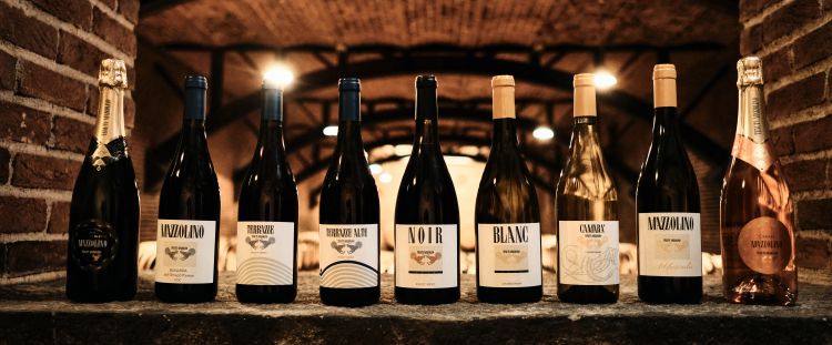 L'attuale gamma dei vini 

