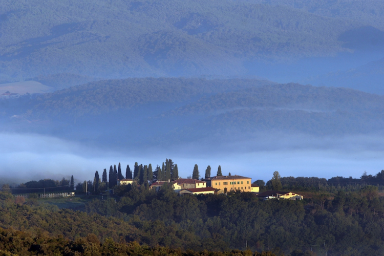 Tenute Silvio Nardi, il panorama al Casale del Bosco (foto Andrea Dapueto)
