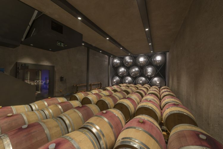 La cantina di affinamento a Terlano
