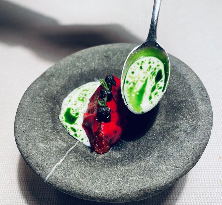 Manzo e lavarello marinati a crudo con Sedum Reflexum e crema alla carbonella, a magic plate 2025