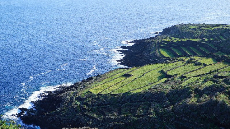 Pantelleria è un'isola dai panorami intensi, 