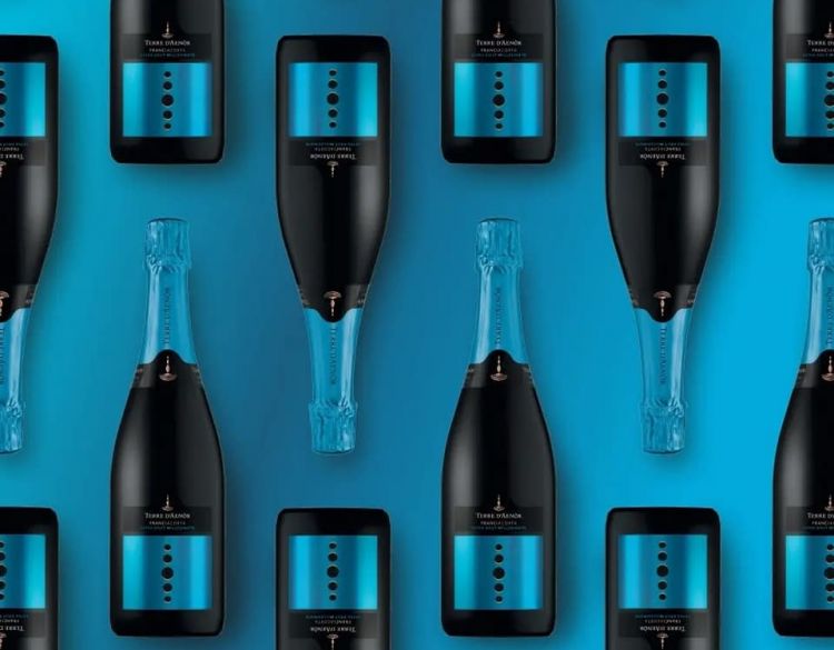 Il Franciacorta Extra Brut Millesimato è probabilmente il vino di punta dell'azienda