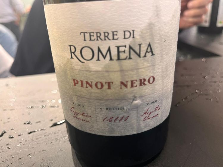 Igt Toscana Terre di Romena Pinot Nero 2022 Famiglia Casadei 
