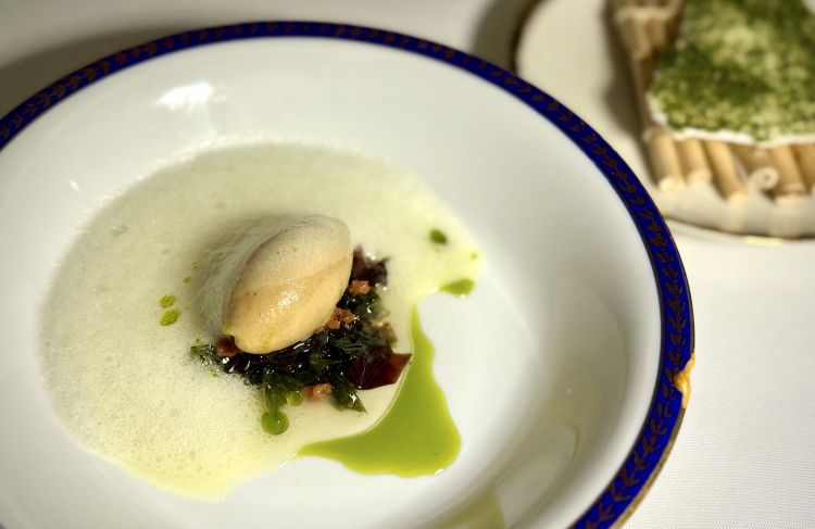 Thalassa: sorbetto di lime nero, alghe sciroppate, albicocche in conserva, olio al finocchietto, spuma di finocchio, meringa al finocchietto e lattuga di mare