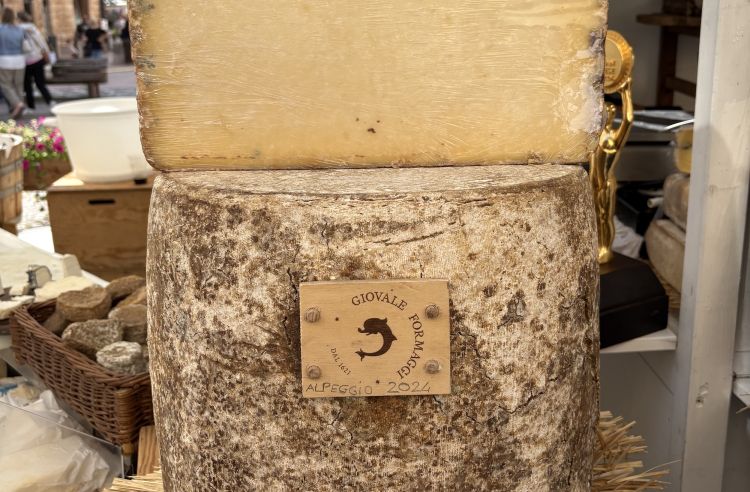 Il tomone d’alpeggio 2024 di Giovale Formaggi