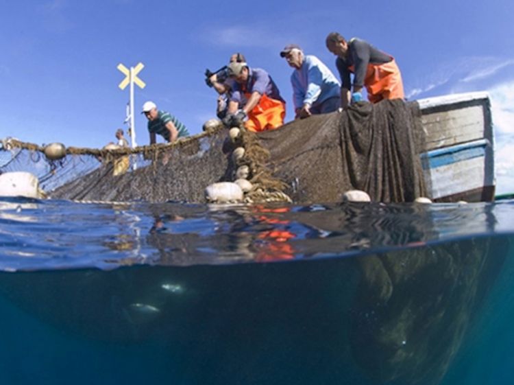 La storica tonnarella della Cooperativa Pescatori di Camogli