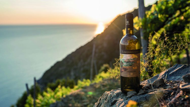 Tra i Monti &egrave; uno dei vini pi&ugrave; rappresentativi della produzione delle Cinque Terre nella tenuta Rosadimaggio
