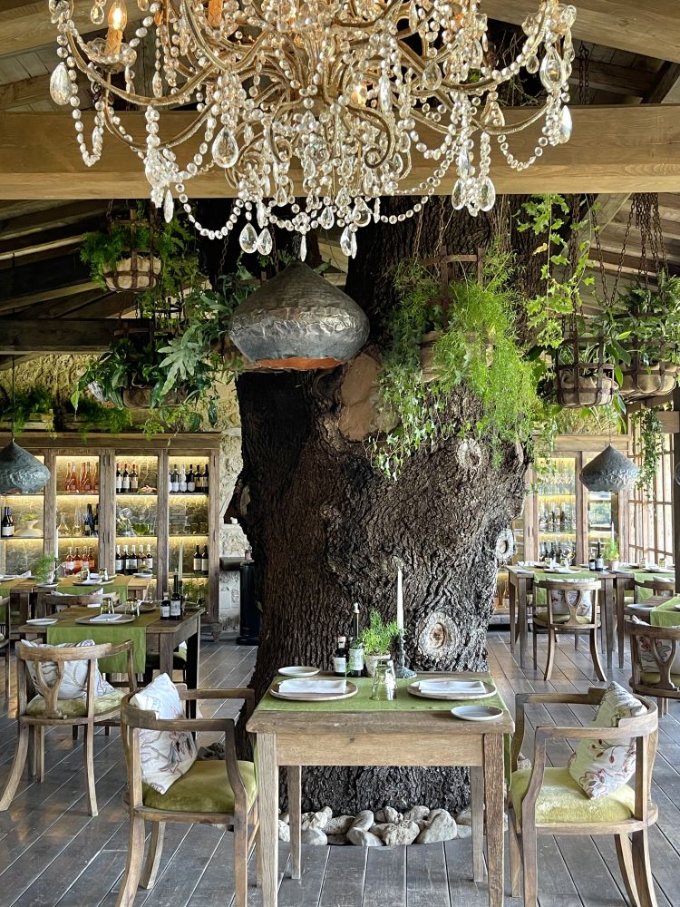 La Trattoria sull'albero

