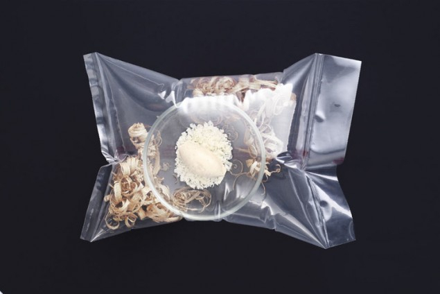 Gelato di corteccia di quercia con trucioli salati: è uno dei signature dish di Thorsten Schmidt