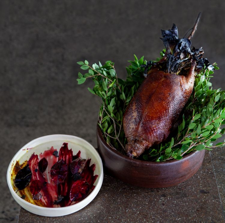 Anatra frollata due settimane e autunno cileno
