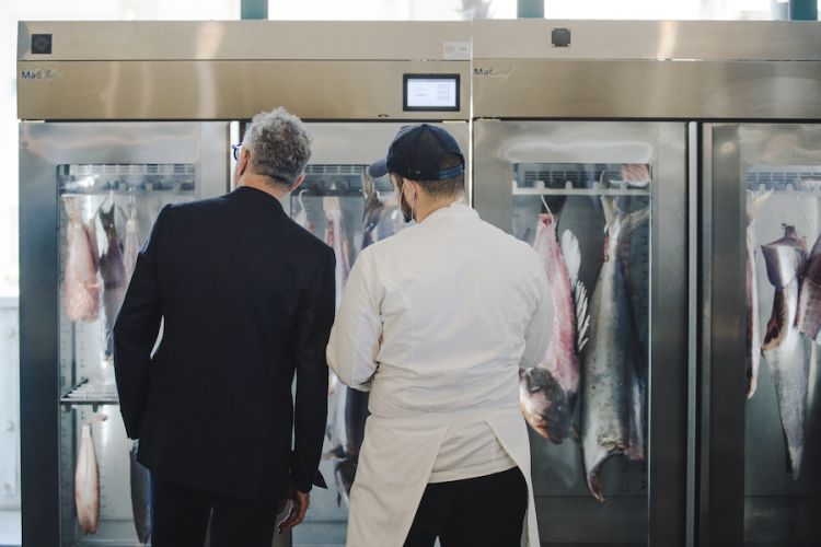 Mauro Uliassi e Jacopo Ticchi davanti ai frigoriferi nei quali Ticchi stagiona il pesce che poi servirà ai clienti della trattoria Da Lucio. Foto Federico Pollini
